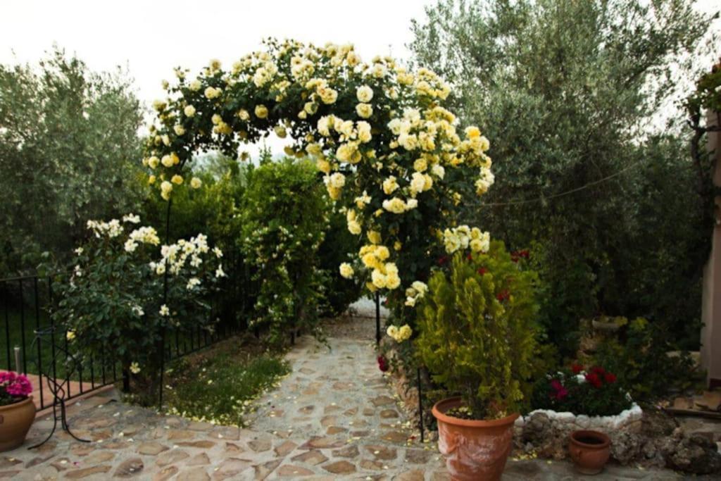 Cazorla-Alcon, Casa Hoya Don Gaspar Pozo Alcón Extérieur photo